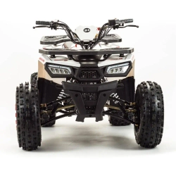 Квадроцикл Motoland 125 WILD A