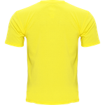 Футболка Hardcore Training Basic Yellow
