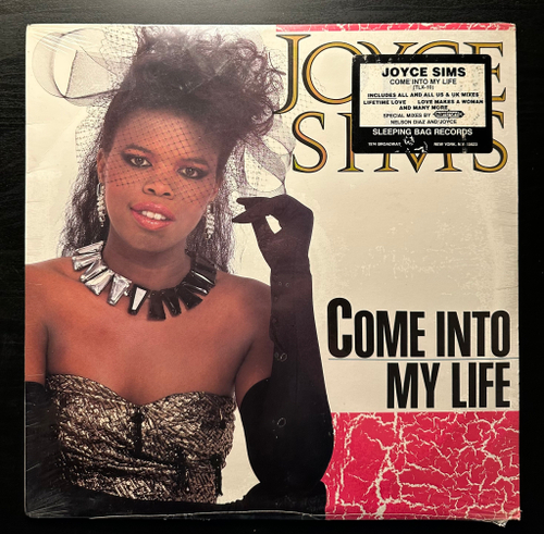 Joyce Sims - Come Into My Life (США 1987г.)