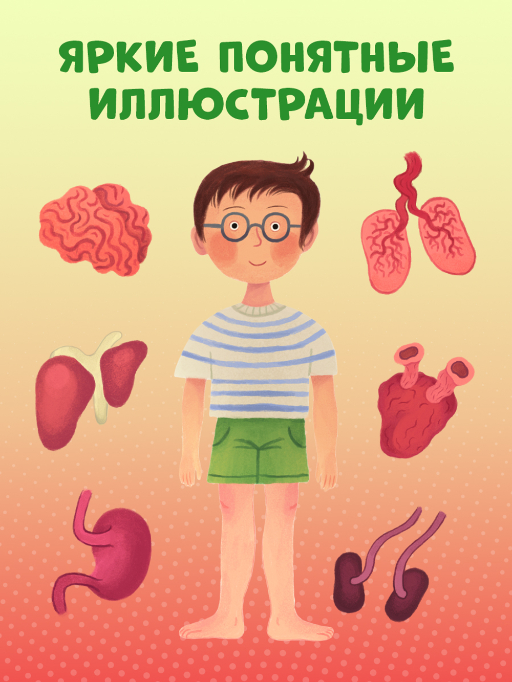 Книжка с окошками. Тело человека
