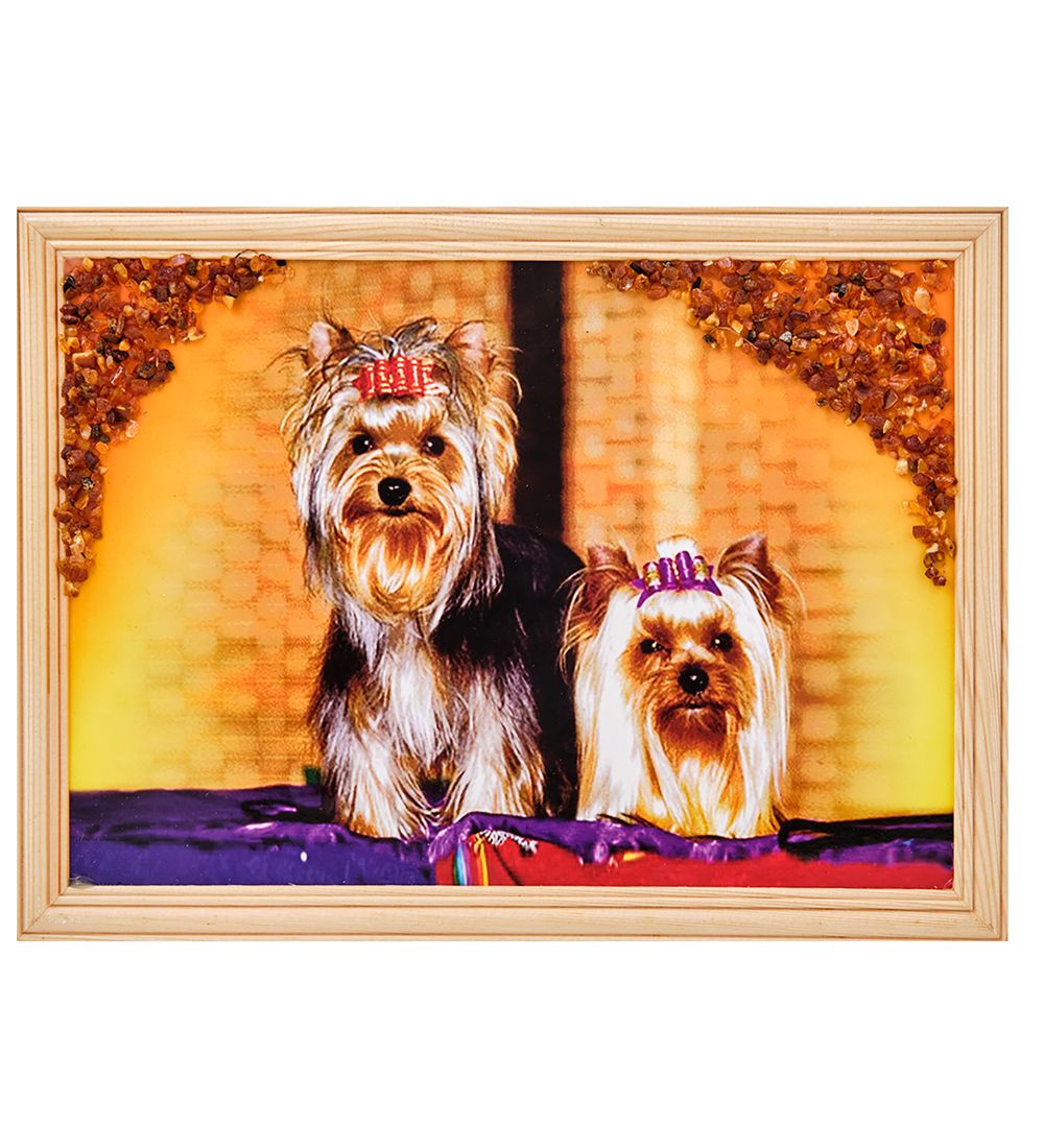 AMB-51/70 Картина «Йоркширские терьеры» (с янтарной крошкой) дер.рамка 21х30