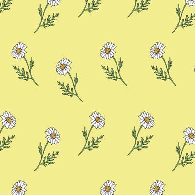 ромашка не желтом фоне