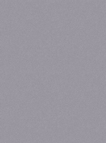 Пантон - 61 (бежевая)