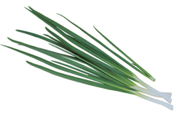 Лук на зелень Легионер (10гр) Витагрин Профи