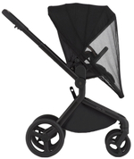 Детская коляска Anex Flo 2 в 1 Lungo