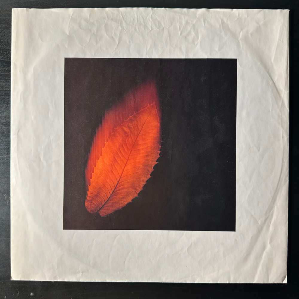 Peter Gabriel ‎– Shaking The Tree: Twelve Golden Greats (Европа 1990г.)