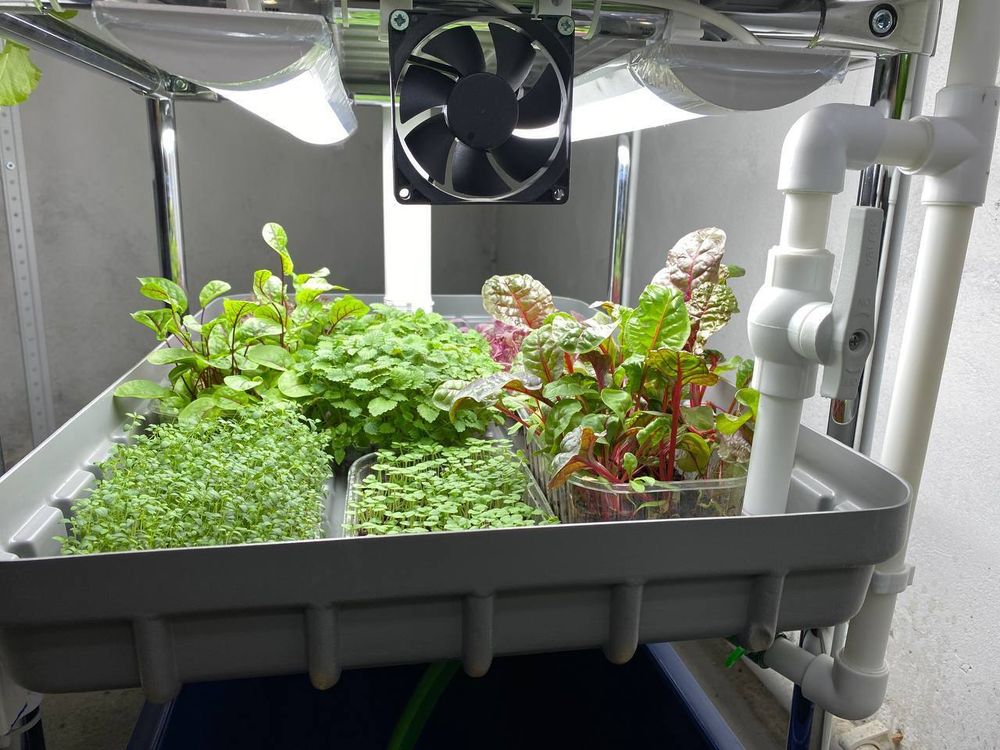 Домашняя гидропонная установка HydroBoss5.0 Mini