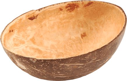 DISPOSABLES - Салатник 15 см 150 мл набор из10 шт кокосовая скорлупа DISPOSABLES артикул 7923300, PLAYGROUND