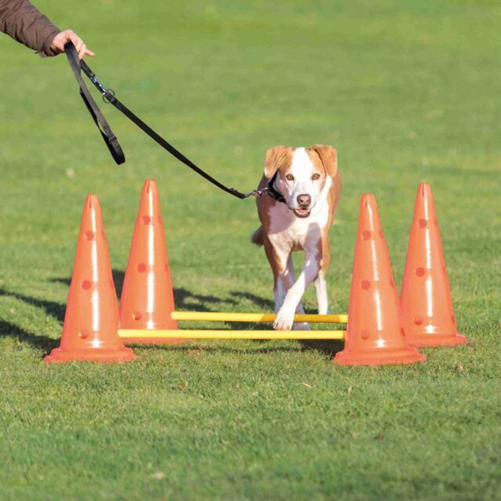 Набор препятствий для аджилити Dog Activity, 6 конусов, 3 рейки, ф 23 × 30 см/ 78 см, Trixie