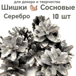 Шишки сосновые для поделок и декора 10 шт. (СЕРЕБРО)