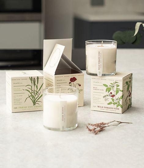 Wild Tomato Vine, свеча The Seeds, Kobo Candles