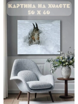 Картина на стену 40 X 50 Белка