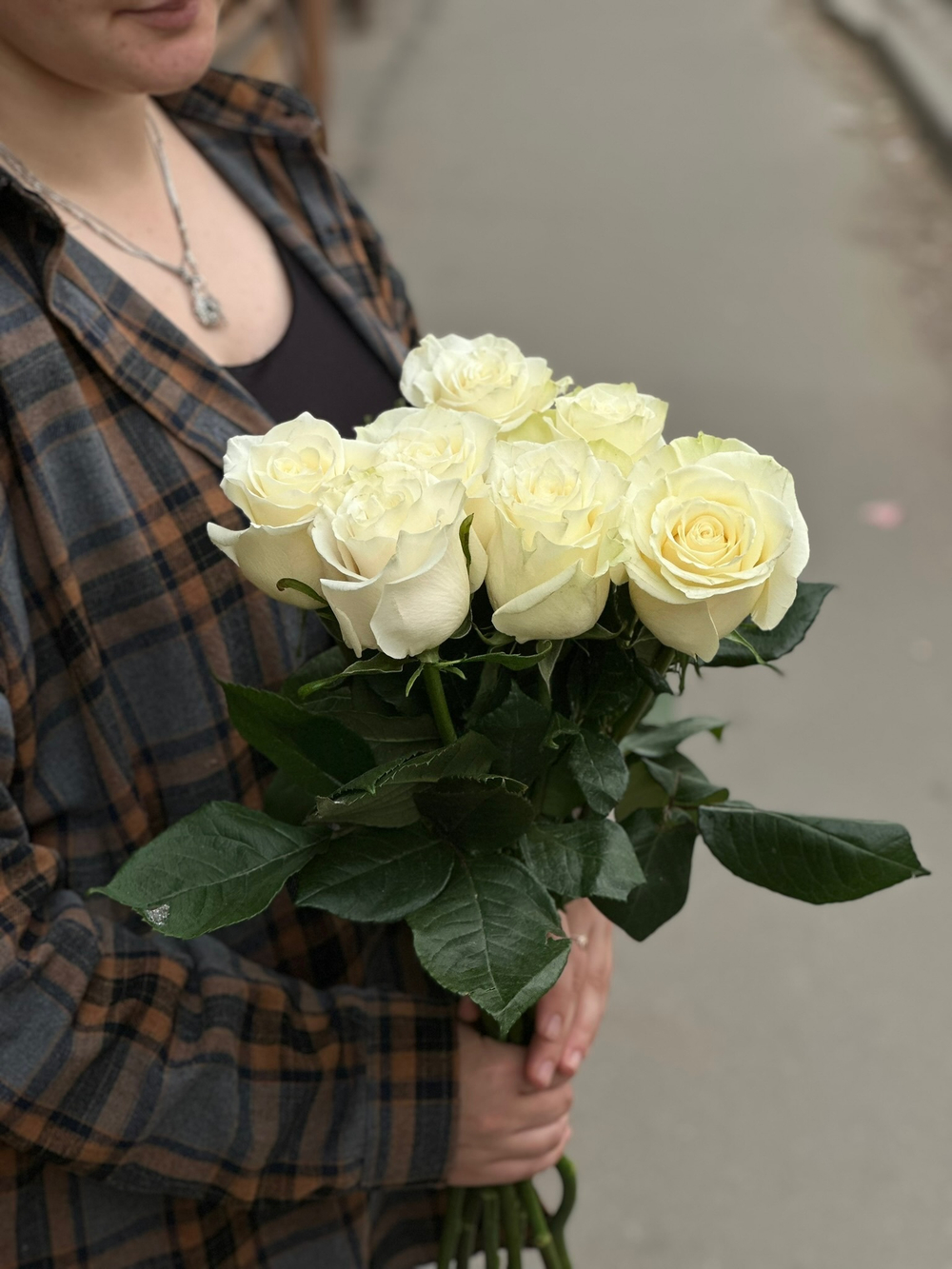 Белая роза сорт «Мондиаль» (Эквадор)