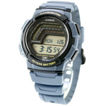 Мужские наручные часы Casio WS-1800-2A