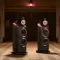Bowers & Wilkins 801 Abbey Road Limited Edition Vintage Walnut