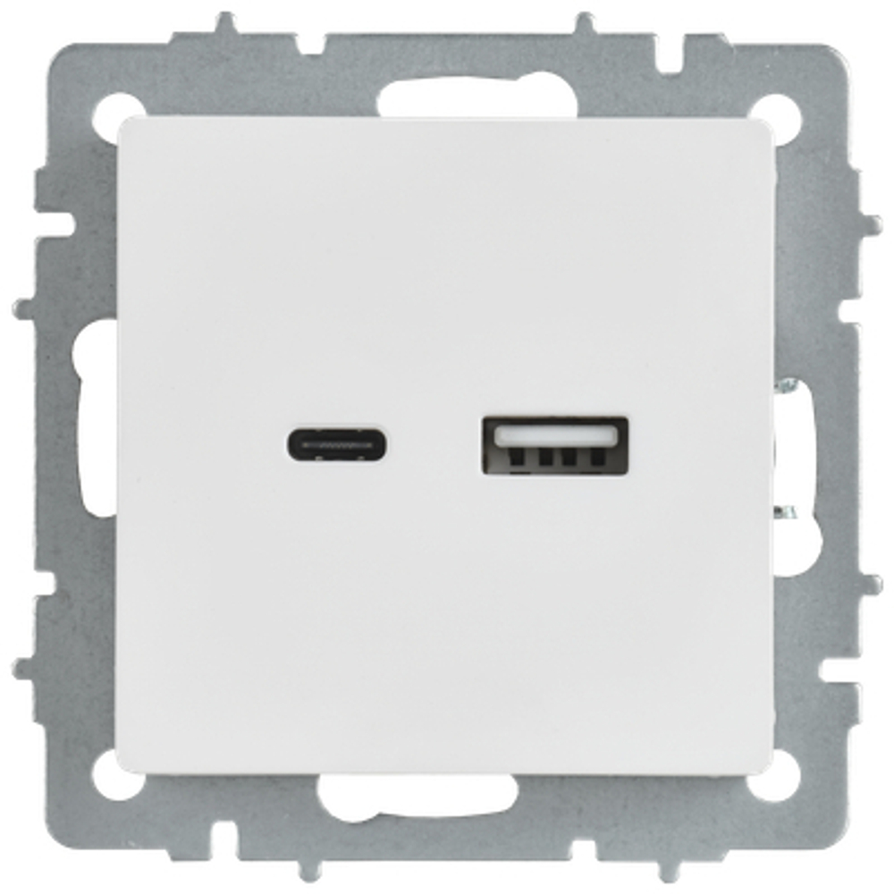 BRITE Розетка USB A+C 18Вт РЮ11-1-БрАБ арктический белый IEK