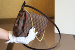 Louis Vuitton Favorite MM