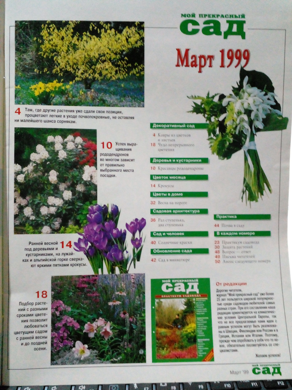 Мой прекрасный сад, март 1999