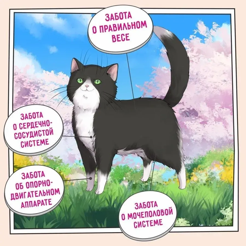 Корм для стерилизованных кошек ZILLII (Зилли) Cat Sterilized Light 10кг индейка и утка сухой для кошек с избыточным весом