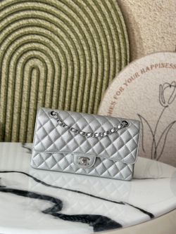 Chanel Bag 25 cm (3 colors)