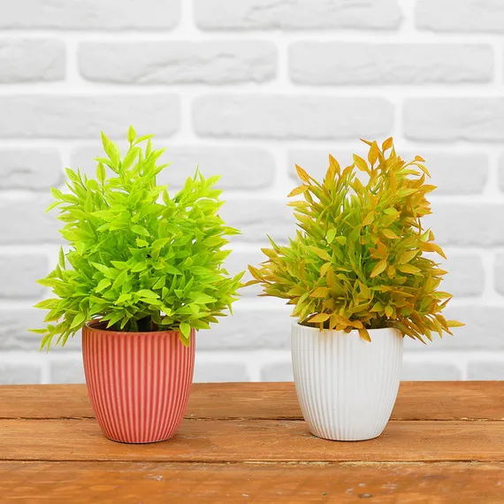 Бонсай "Кустовой" 7*18 см МИКС