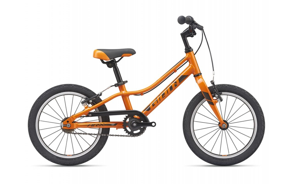 Детский велосипед Giant ARX 16 F/W (2021)