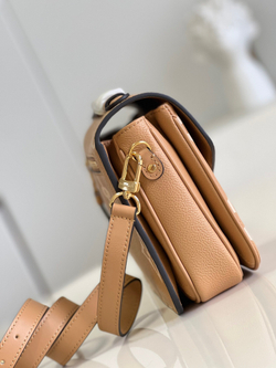 Louis Vuitton Pochette Metis