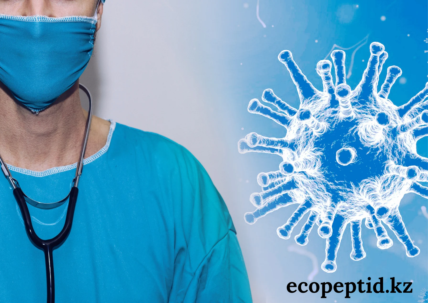 Международный день иммунитета — напоминание о главной системе защиты организма