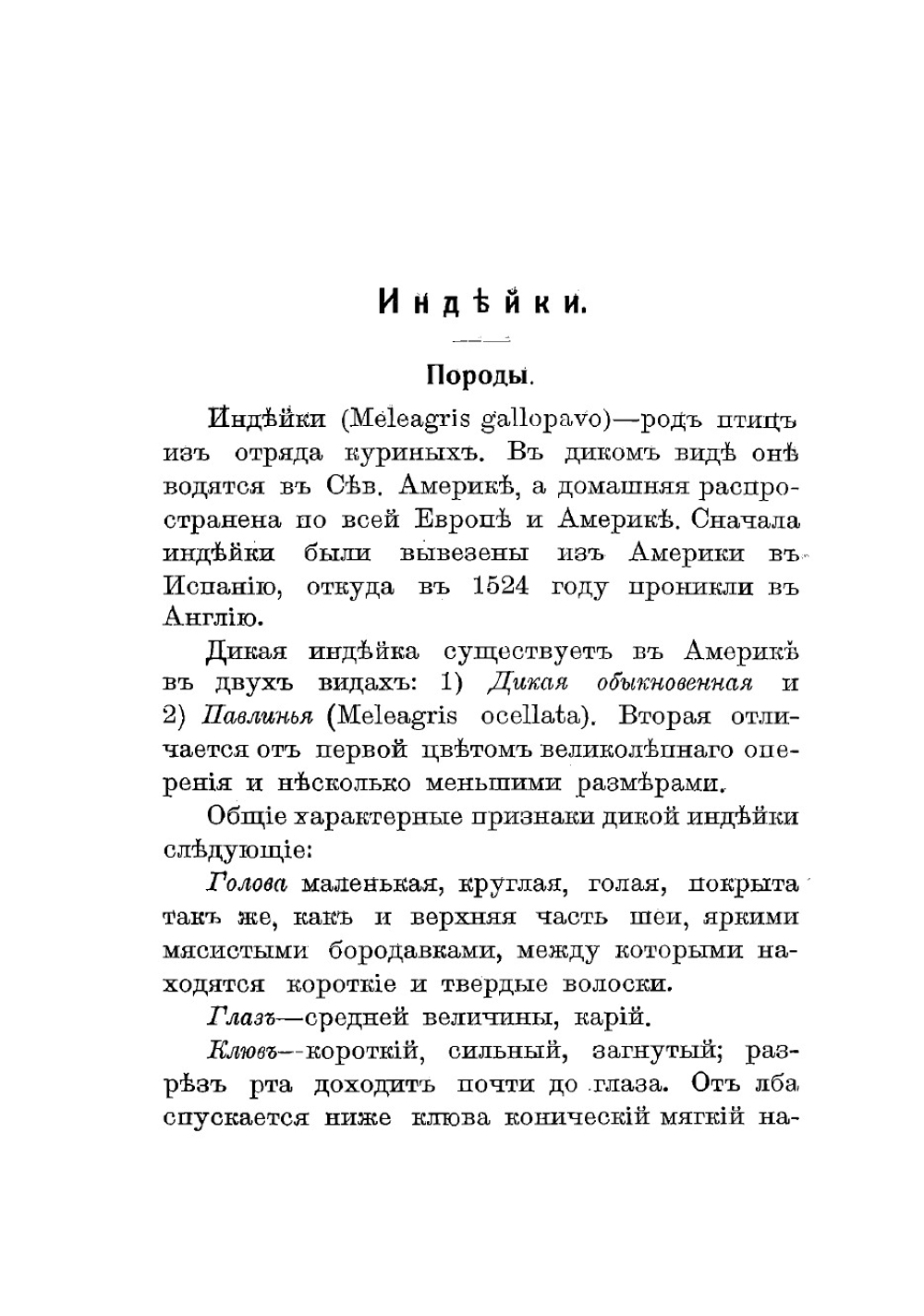 Промысловое птицеводство | Орлова Ольга Михайловна