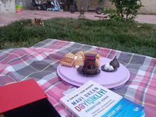 Mavi okean dəyişikliyi