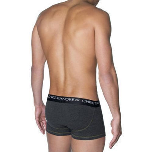 Мужские трусы боксеры серые Andrew Christian Flashlift  Boxer Pro Charcoal AC41