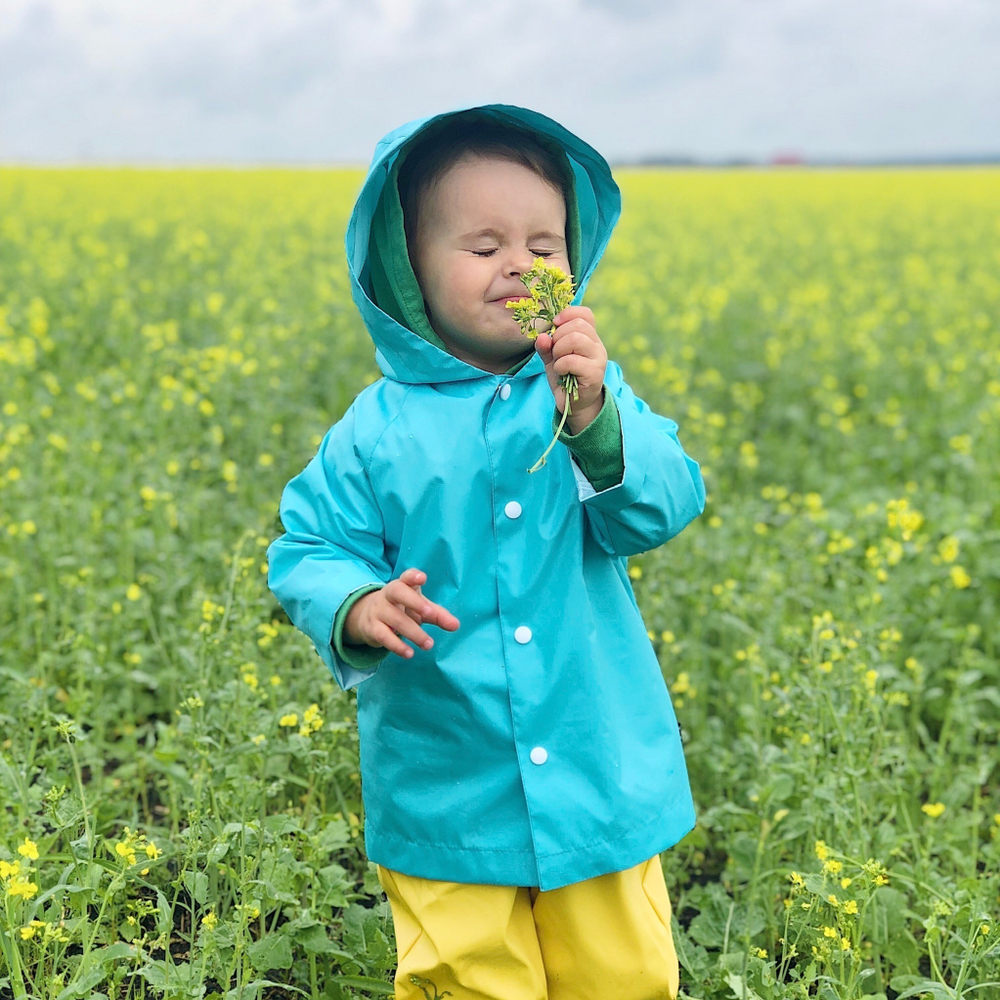 Дождевик "черепашка" (точки на сером)