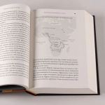 Цивилизация рассказчиков: как истории становятся Историей