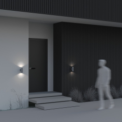 Уличный настенный светильник Outdoor O574WL-02GR