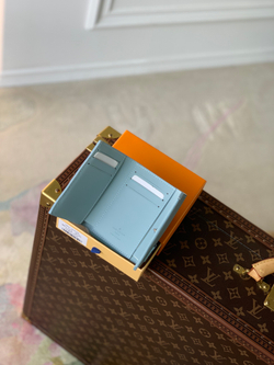 Louis Vuitton Aerogram Pilot Wallet