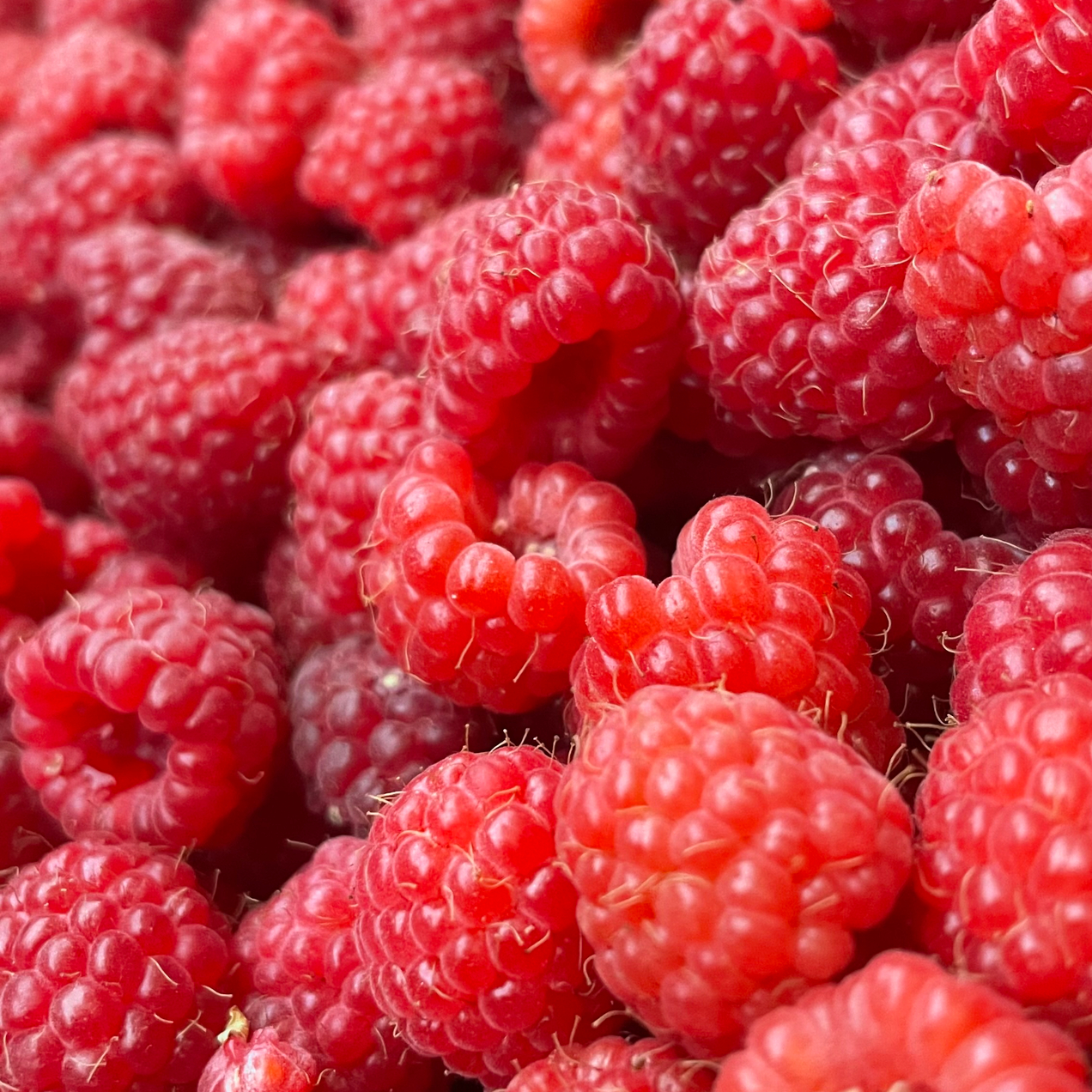 Заказывай еду с нами!