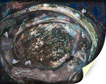 Жемчужина, Врубель М. А., картина для интерьера (репродукция) Настене.рф