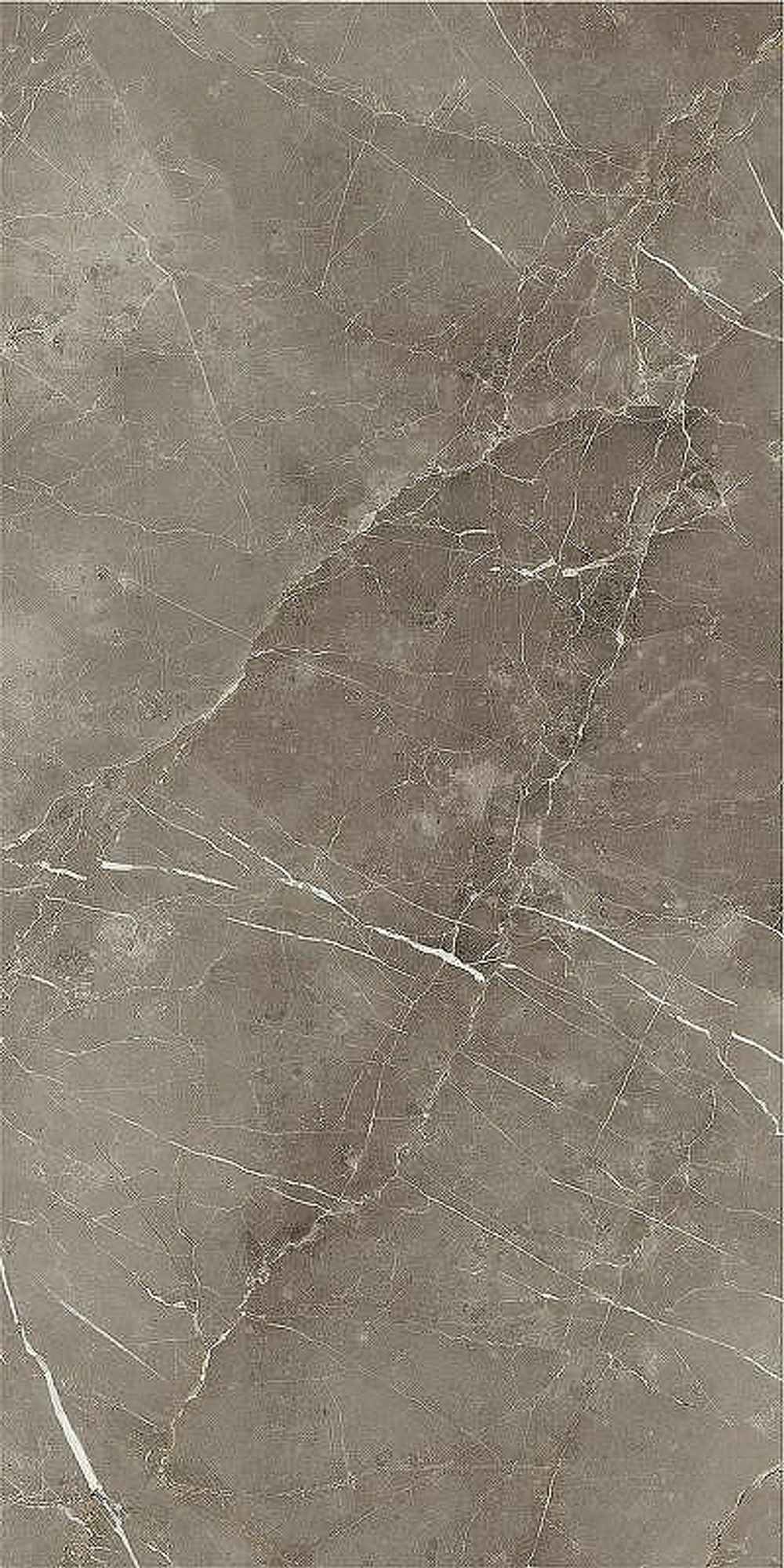 Керамогранит Italon Stellaris Tuscania Grey рет 610010002836 60х120 см