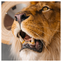 Реплика головы «Африканский лев»