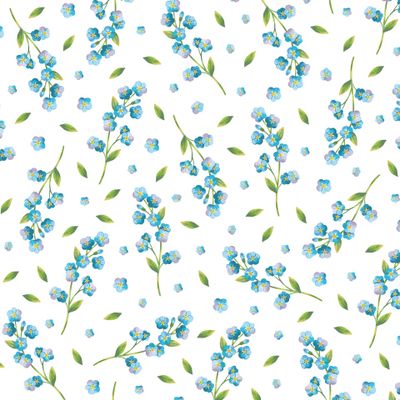 Нежные незабудки