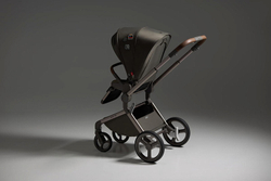 Детская коляска Anex Flo x Avionaut Cosmo 3 в 1 se-01 Cesar/ss-06 Black