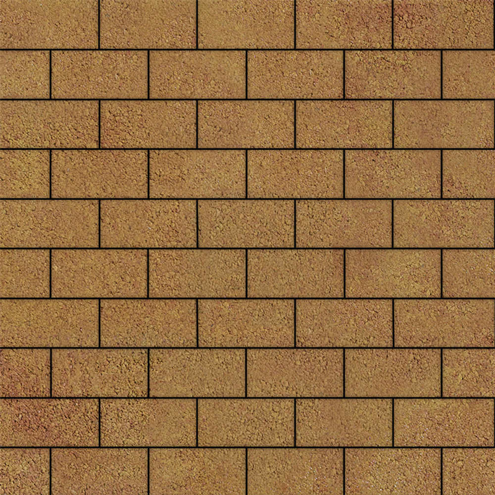 Тротуарная плитка ПРЯМОУГОЛЬНИК Б.2.П.6 200x100 мм Листопад гладкий Сахара