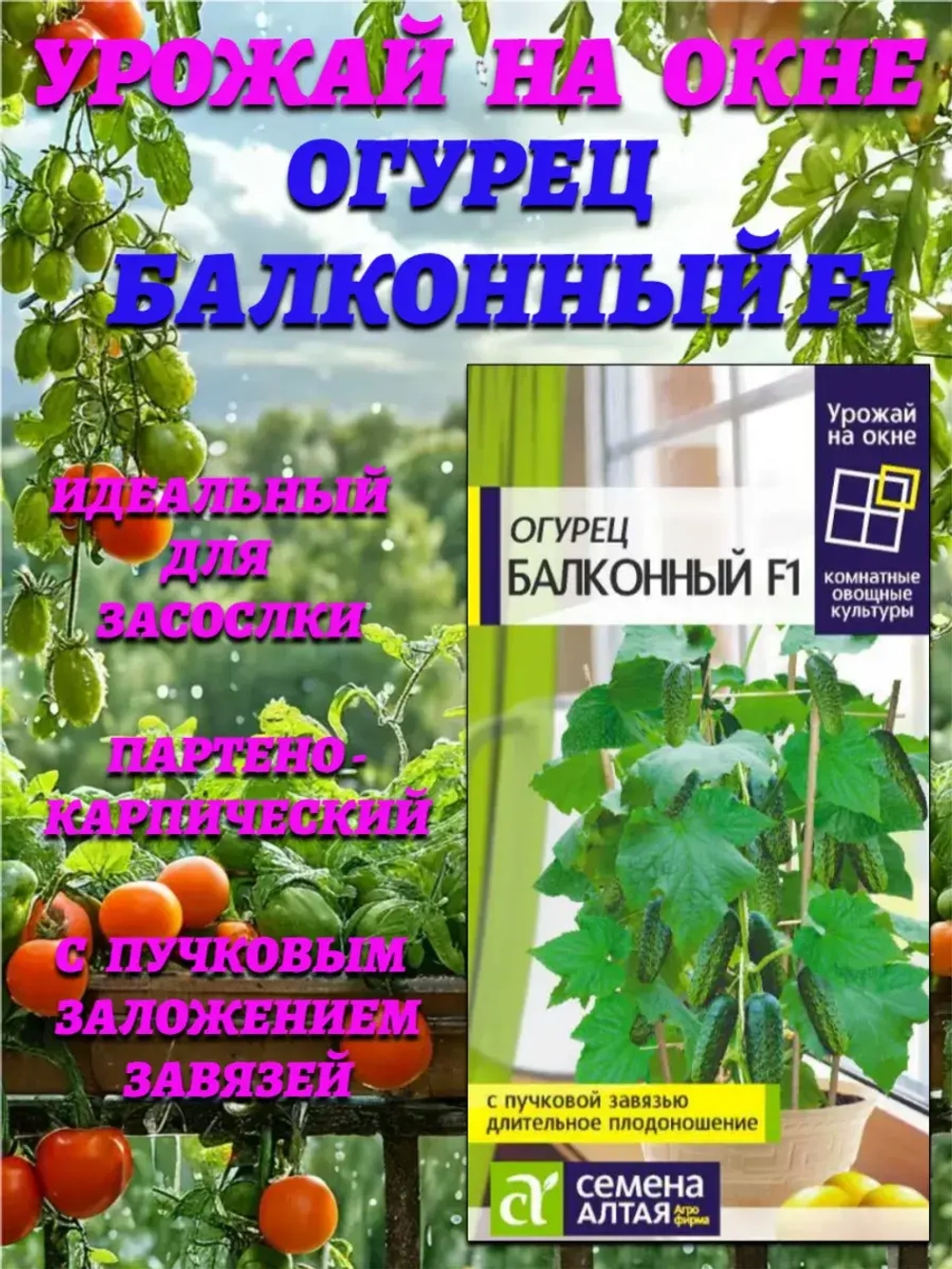 Огурец Балконный F1(5 шт). Семена Алтая