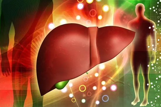 Лаборатория организма