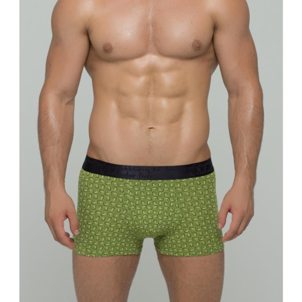Мужские трусы боксеры зеленые Salvador Dali SD2023-4