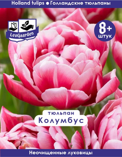 Тюльпан Луковица, Колумбус, 8+ шт