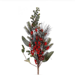 Ягоды и шишки на ветке