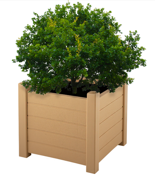 Кашпо Монро, Беж