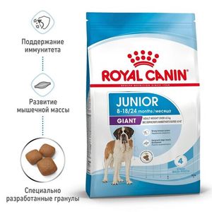 Корм для щенков очень крупных размеров с 8 месяцев, Royal Canin Giant Junior