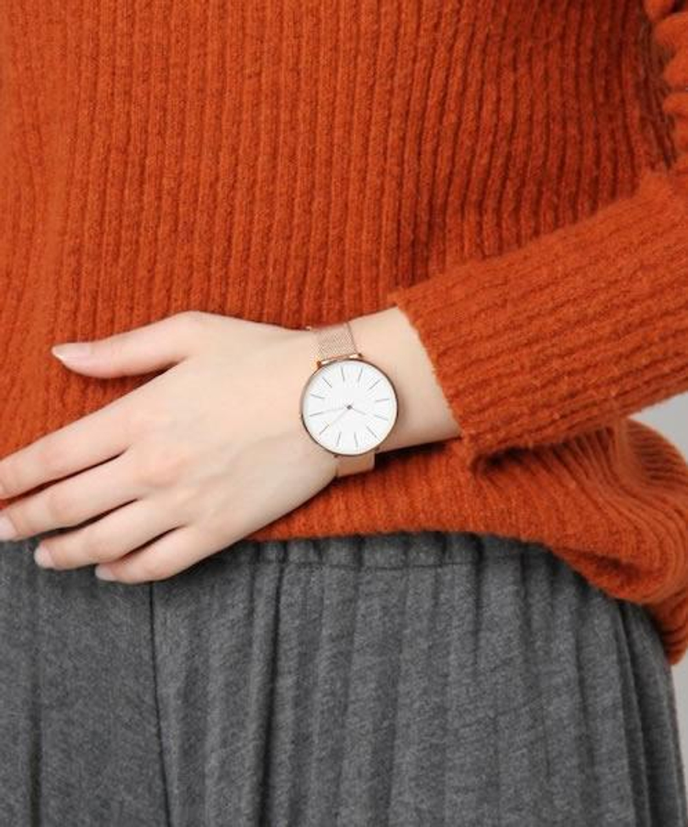 Женские наручные часы Skagen SKW2688